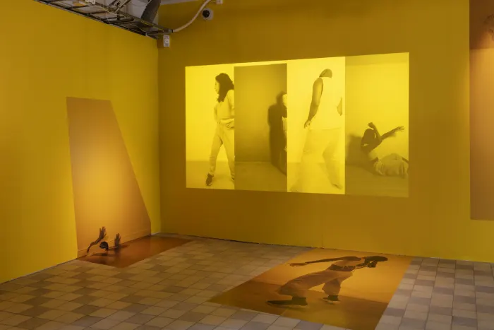 Bodies in Motion - Dance and Resistance