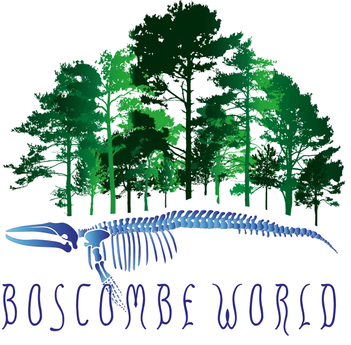 Boscombe World